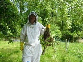 Devon Beekeeping: